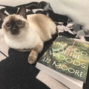 📖Reading Vocabulary