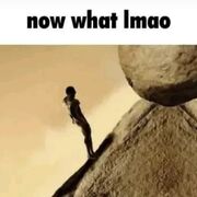 Вирусология