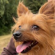 Chemistry Organic Synthesis