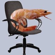 SLP Praxis Exam - MED SLP GUIDE