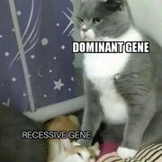 Biologia
