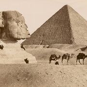 Cambridge iGCSE History Option B