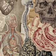 Anatomy & Physiology