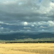 I M M U N O L O G Y - UAMS 2025