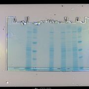 NSC2003 final (méthode)