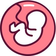 Embryology