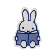 Diagnostiek - UU PED 25-26