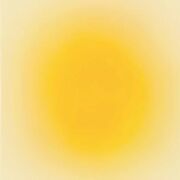 CHI-1045 ( Épaule )