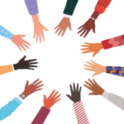 MED-1219 (MMS3) - Synthèse (Aude)