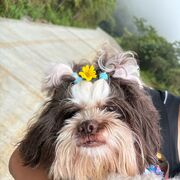 (COMPLETED)-335 Russian Words