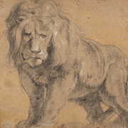 Leo - Latijns vocabularium