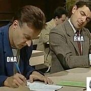 Bio