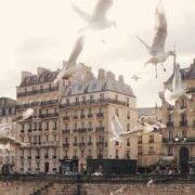 DC P1 T1) L'Etat