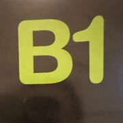 B1