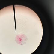 Biology