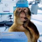 Ordinario pato quirúrgica