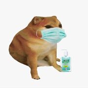 Ordinario Bases biologicas