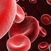 Aes 15- Morfo Hemato 2 2025.2