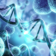 Biology 1 - Mr. Sales