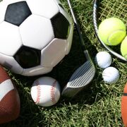 Learning Aim B - Muscular System (BTEC Sport)