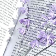 History - US Constitution