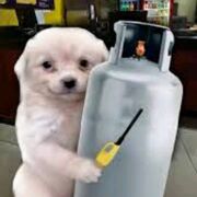 Ordinario de Fármaco