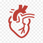 USA Cardiology