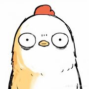 Cardiovascular System Hamza