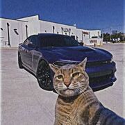 FREE! History Flashcards