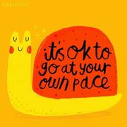 Explaining Behaviour