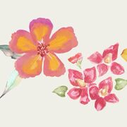 Bio 20 - Nervous system