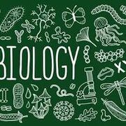 Biology Studying
