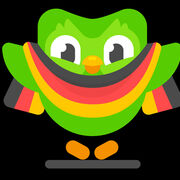 Duolingo German A1 Vocabulary