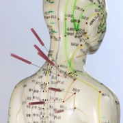 Acupunctuur Punten En Acties