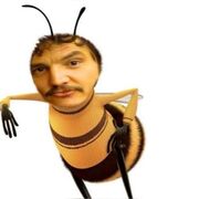 ANNO 2: PRIMO SEMESTRE