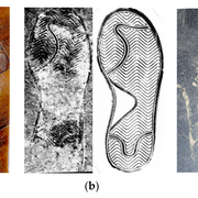 Forensics - Impression Evidence