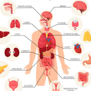 Health Science