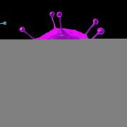 Ch. 18 Bacteria & Viruses