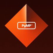 1. PMI Program Management Professional