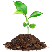 1. Kortare markvetenkap