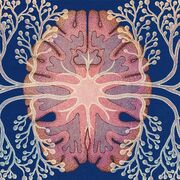 PSYCHOLOGY Biological