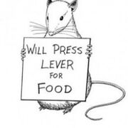 PSYCHOLOGY Learning Theories