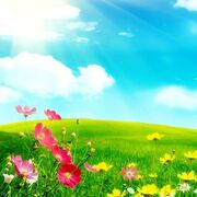 1. Från cell till växt