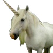 𑣲┆biology paper 1