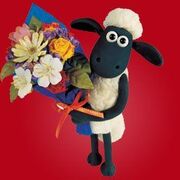 PSY2044 : stress/anxiété