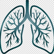 Pulmonology
