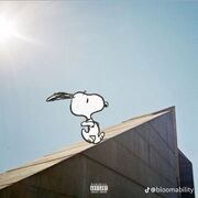 Bio Mol - Dra. Dianita