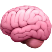 Neuro Kp4