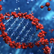 Biology topic 1- Biological Molecules