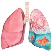 Respiratory